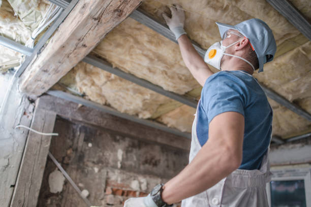 Types of Insulation We Offer in Wayne, IL