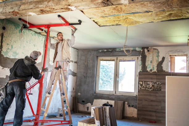 Best Geographic-Specific Insulation Services in Wayne, IL