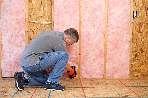 Best Blown-in Insulation in Wayne, IL