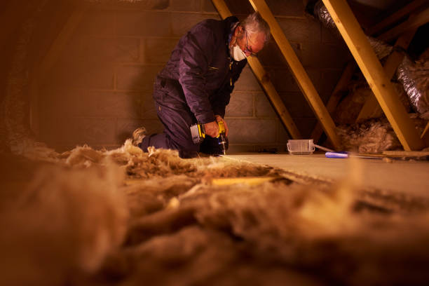 Best Geographic-Specific Insulation Services in Wayne, IL